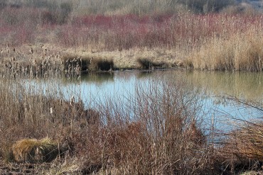 L’ancienne carrière de Champmorin