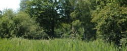 PRONATURA_marais-d-arbonne PRONATURA_marais-d-arbonne