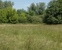 PRONATURA_prairie-de-moret