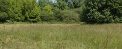 PRONATURA_prairie-de-moret PRONATURA_prairie-de-moret
