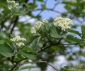 Parution de Fontainebleau terre de rencontres