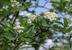 Parution de Fontainebleau terre de rencontres