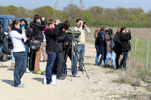 SUSPENDUE – Comment améliorer la connaissance de la biodiversité ?