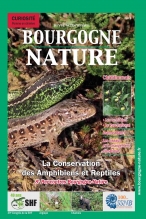 Bourgogne Nature_amphibien