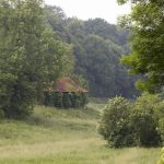 Paysages
