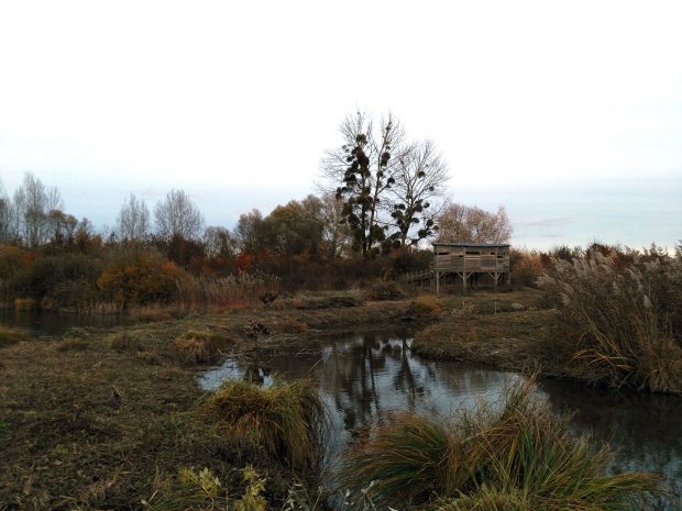 Chantier d’entretien du site de Champmorin