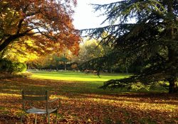 La biodiversité urbaine