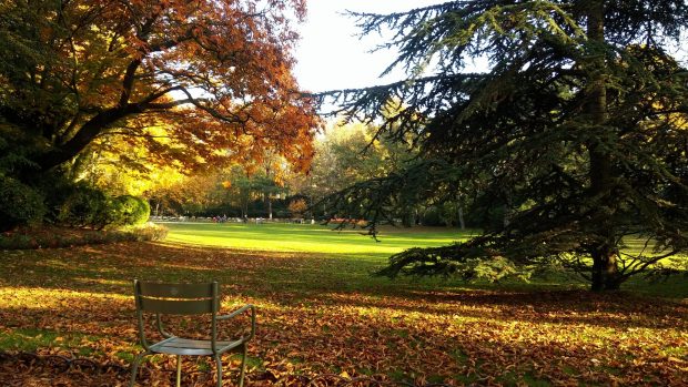 La biodiversité urbaine