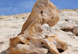 Guide des curiosités géologiques du massif de Fontainebleau