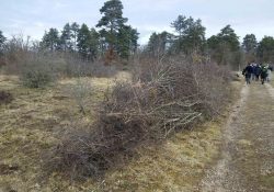 Petit retour sur le chantier de soutien au projet pastoral de la plaine de Champ Minette