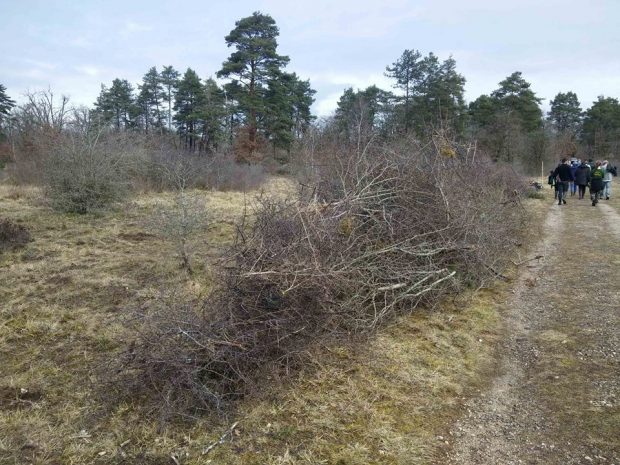 Petit retour sur le chantier de soutien au projet pastoral de la plaine de Champ Minette