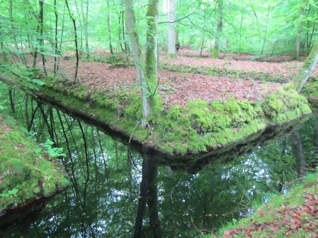 Sortie géologique, hydrogéologique et historique à la Mare aux Evées