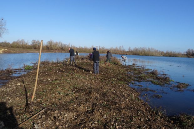 Chantier d’entretien du site des Champs Courceaux