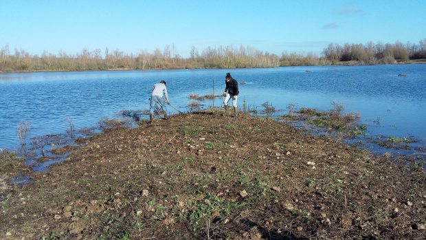 Chantier d’entretien de l’Espace Naturel Sensible du Carreau-Franc