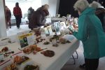 Exposition mycologique annuelle