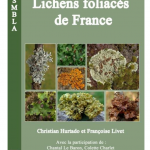 Lichens foliacés de France-20210906