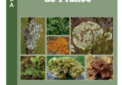 Guide des lichens foliacés de France