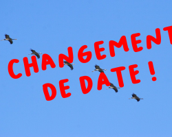 27-28/11 : week-end ornitho « lacs de Champagne »