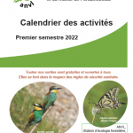 Image calendrier site