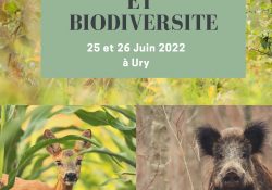 Rencontre Nature et Biodiversité ANVL 2022