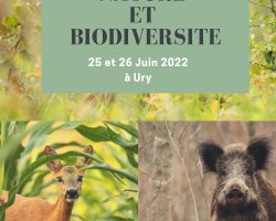 Rencontre Nature et Biodiversité ANVL 2022