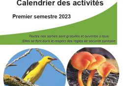 Calendrier du 1er semestre 2023 MAJ