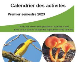 Calendrier du 1er semestre 2023 MAJ