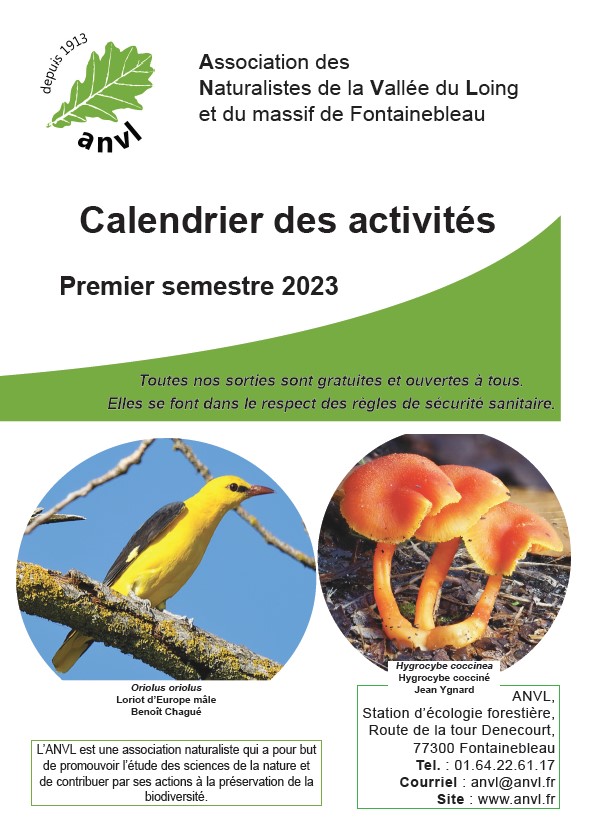 Calendrier du 1er semestre 2023 MAJ