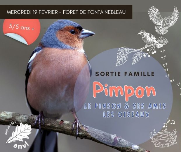 Pimpon & ses Amis les Oiseaux