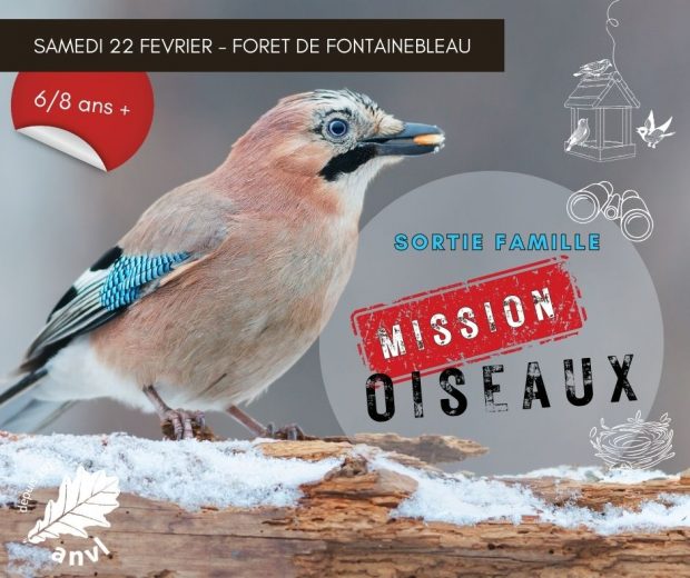 Mission oiseaux !