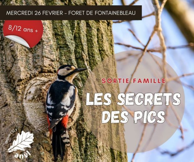 Les secrets des pics